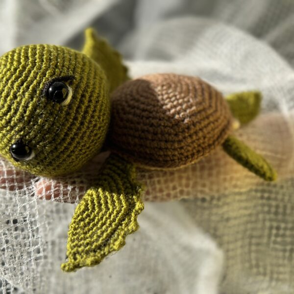 Timmy the Turtle